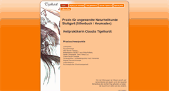Desktop Screenshot of medi-tigelhardt.de